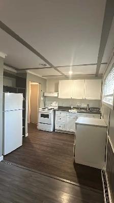 FRESHLY PAINTED & SUPER CLEAN 1-BEDROOM BASEMENT SUITE - Photo 5