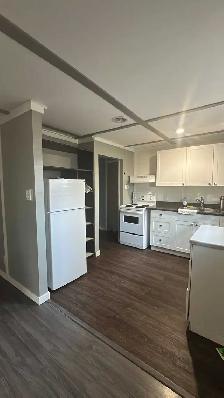 FRESHLY PAINTED & SUPER CLEAN 1-BEDROOM BASEMENT SUITE - Photo 7