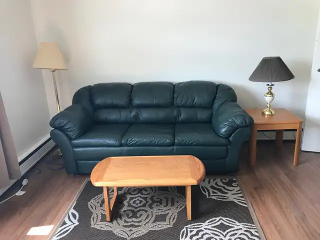 Furnished One BedRm. Suite, Non-Smoking, Eastside Apt