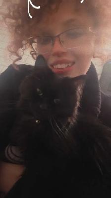 ISO: Quiet Respectful Couple & Support Kitten, In Need Of Home! - Photo 3