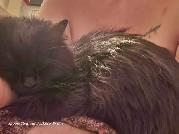 ISO: Quiet Respectful Couple & Support Kitten, In Need Of Home! - Photo 4