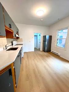 New renovation 6 1/2 Apt for rent in Plateau-Mont-Royal. - Photo 7
