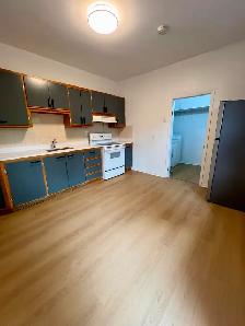 New renovation 6 1/2 Apt for rent in Plateau-Mont-Royal. - Photo 8