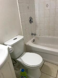 Large and Beautiful One-Bedroom Basement Apt  For Rent - Photo 4