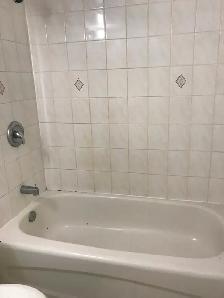 Large and Beautiful One-Bedroom Basement Apt  For Rent - Photo 7