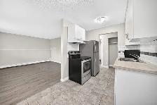 Spacious Apartment. Available Today! Utilities Incl - Photo 3