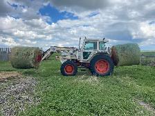 horse hay - Photo 3