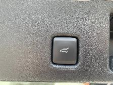 2025 Ford Escape ST-Line - Photo 12