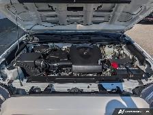 2019 Toyota Tacoma - Photo 8