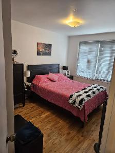 Grand  5  1/2 Laval - Photo 3