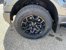 2026 Ford F-150 XLT 302A - Photo 9