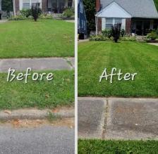 grass cutting …weed removal …SOD - Photo 3