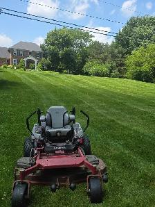 landscaping - Photo 2