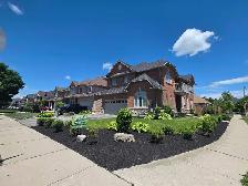 landscaping - Photo 3