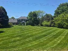 landscaping - Photo 5