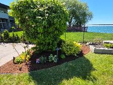 landscaping - Photo 6