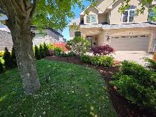 landscaping - Photo 7