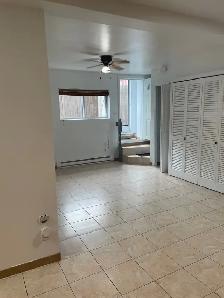4 1/2 Impéccable à LaSalle à louer - 4 1/2 for rent in LaSalle - Photo 3