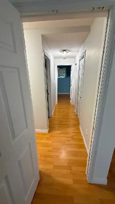 House for Rent (Riverview NB) - Photo 6