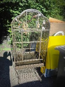 rabais vente d été speciaux pinsons Canaries perruches - Photo 3
