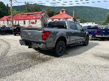 Ford F-150 XLT 2024 - Photo 3