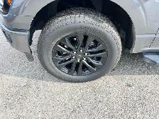 Ford F-150 XLT 2024 - Photo 10
