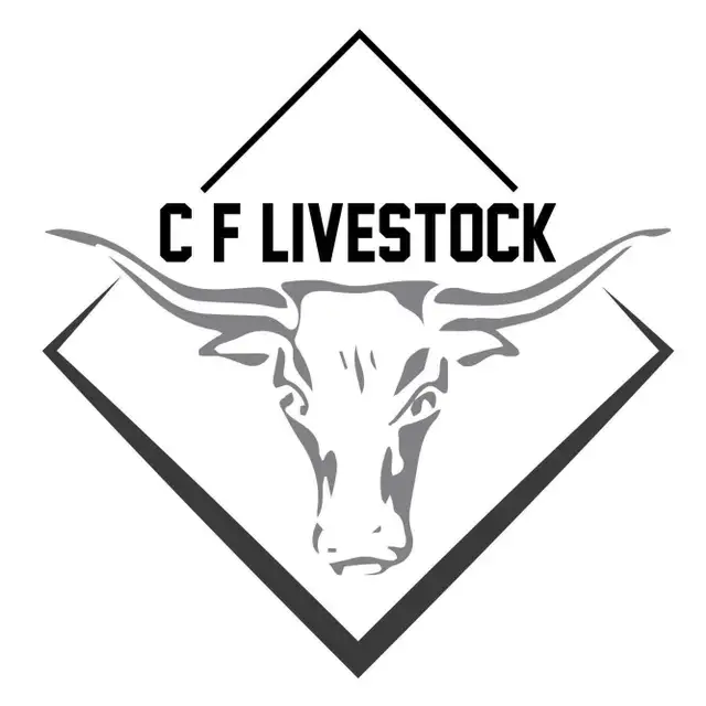 25 cow calf pairs