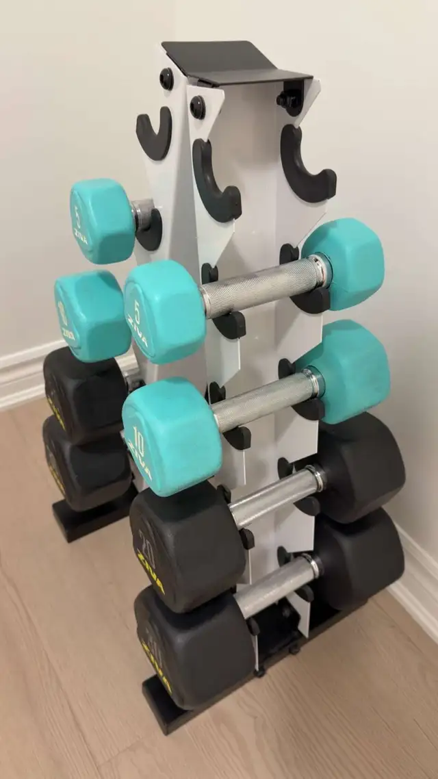 ZIVA Dumble Set - Perfect for Home Gym