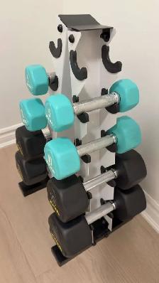 ZIVA Dumble Set - Perfect for Home Gym