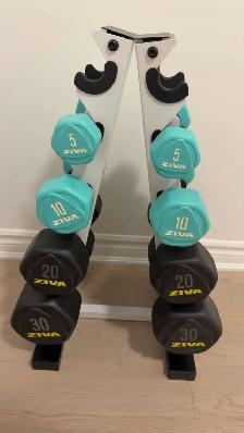 ZIVA Dumble Set - Perfect for Home Gym - Photo 2