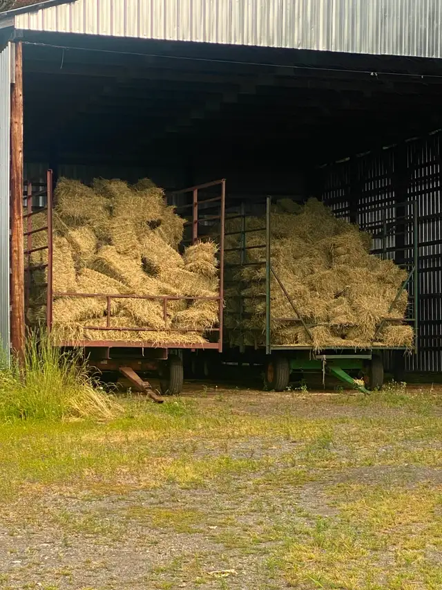 Small Squares of Hay
