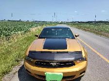 Mustang, Certified, trades possible,