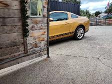 Mustang, Certified, trades possible, - Photo 10