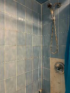 Downtown! Best deal!Very Bright!  One Bedroom Rent - Photo 4