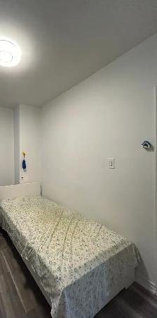 Downtown! Best deal!Very Bright!  One Bedroom Rent - Photo 5