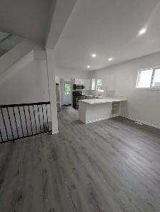 Fully Renovated 2 Bed, 3 Bath Home — St. Thomas — $499,900 - Photo 9