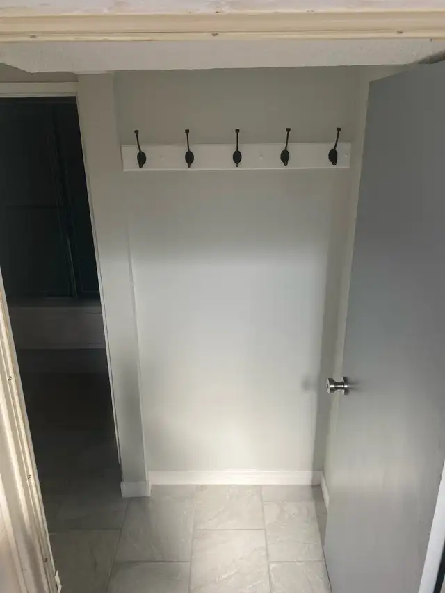 BEAUTIFUL NEWLY RENOVATED BASEMNET SUITE FOR RENT