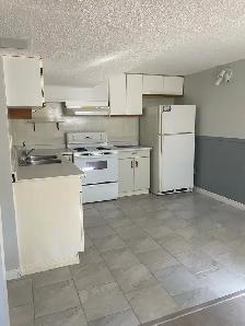 BEAUTIFUL NEWLY RENOVATED BASEMNET SUITE FOR RENT - Photo 10