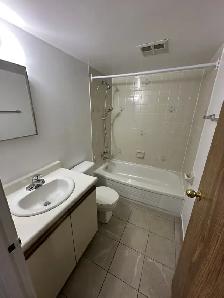 Bachelor Available Now In Minnow Lake - Photo 6