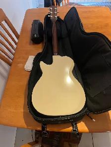 Godin Radiator - Photo 2