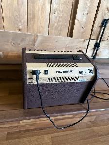 fishman loudbox amp - Photo 5