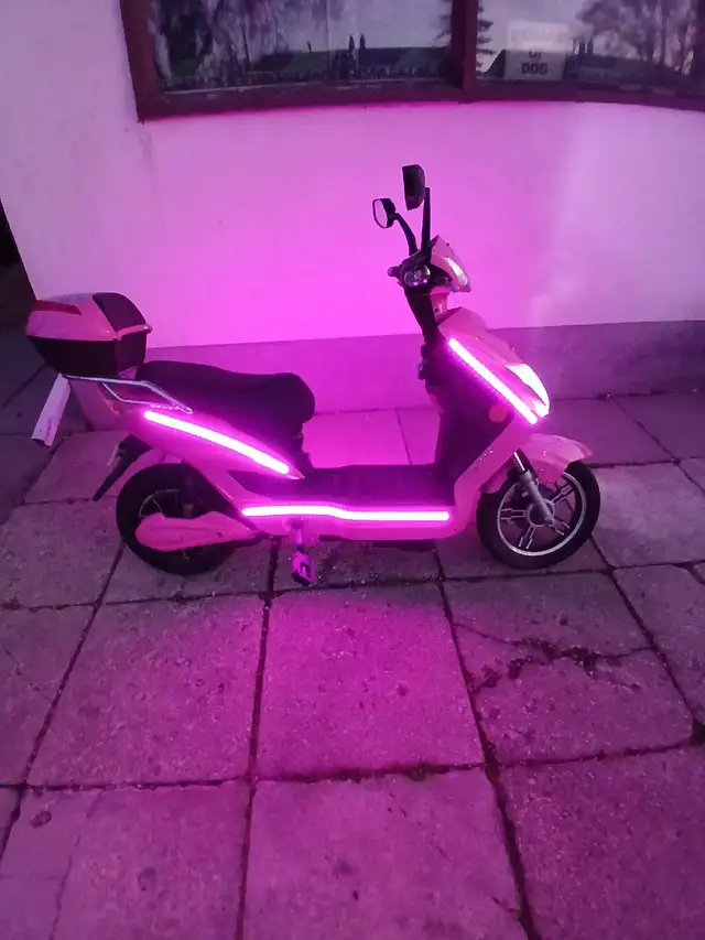 chameleon  daymak electric  bike