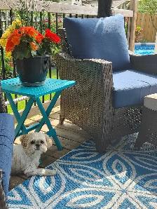 Dog Sitting - Photo 3