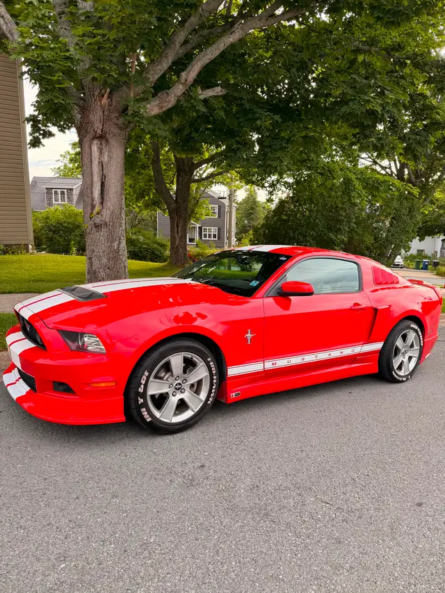 2013 Ford Mustang
