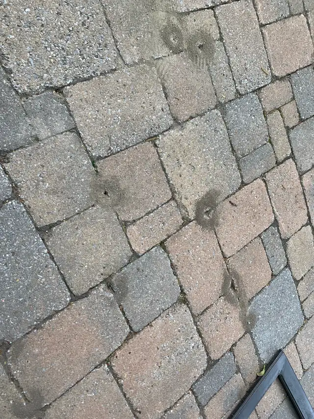 Free Pavers