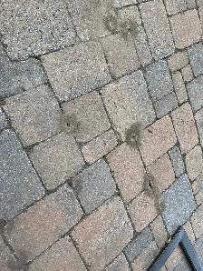 Free Pavers