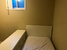 Furnished Room Rent near UWO