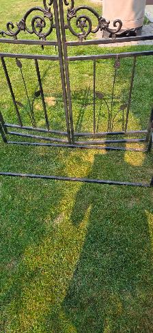 METAL GARDEN ARBOR W/GATE - Photo 5