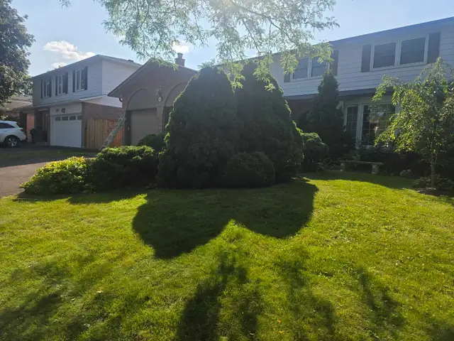 landscaping