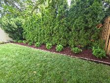 landscaping - Photo 3